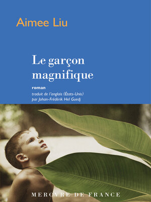 cover image of Le garçon magnifique